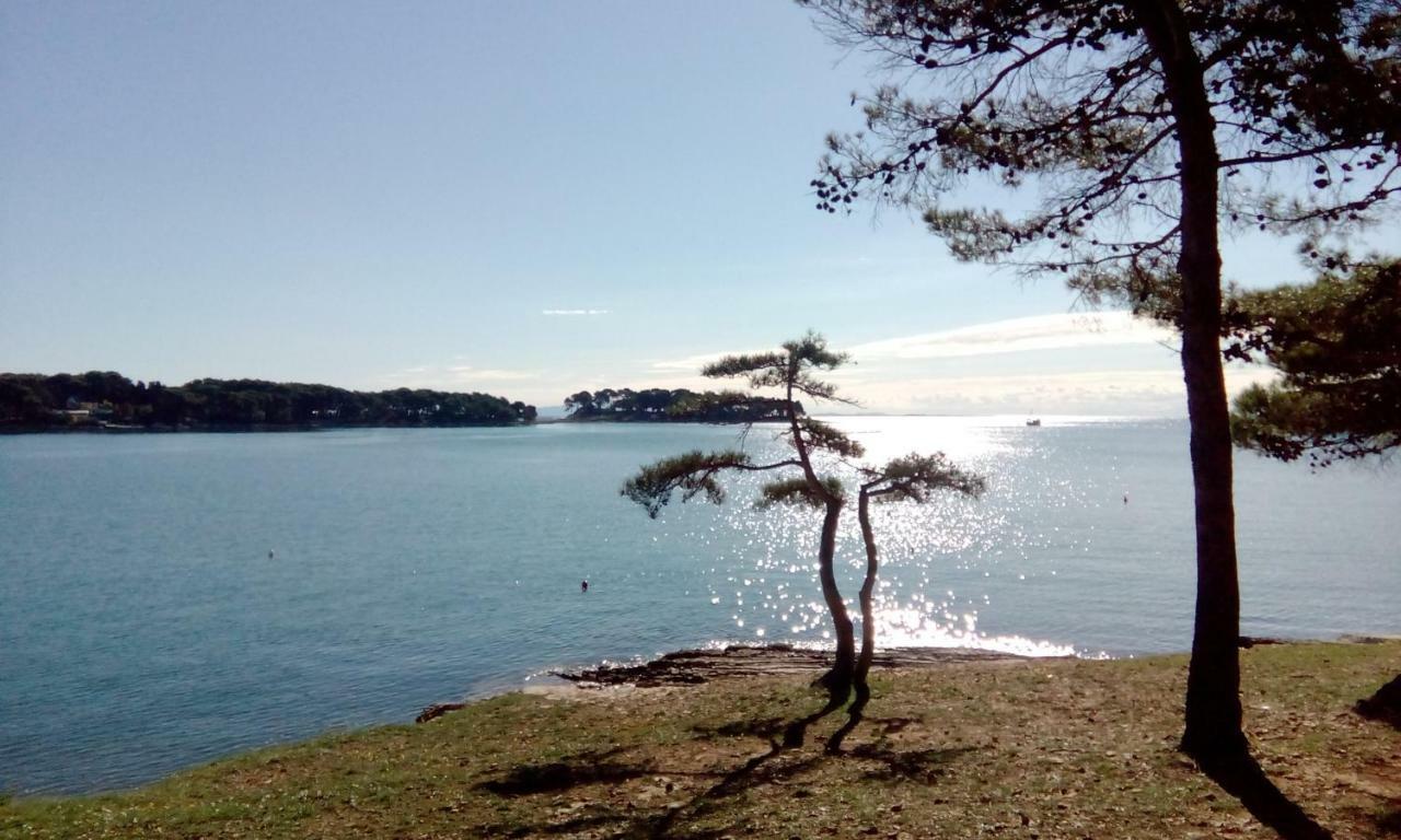Mamut Lägenhet *